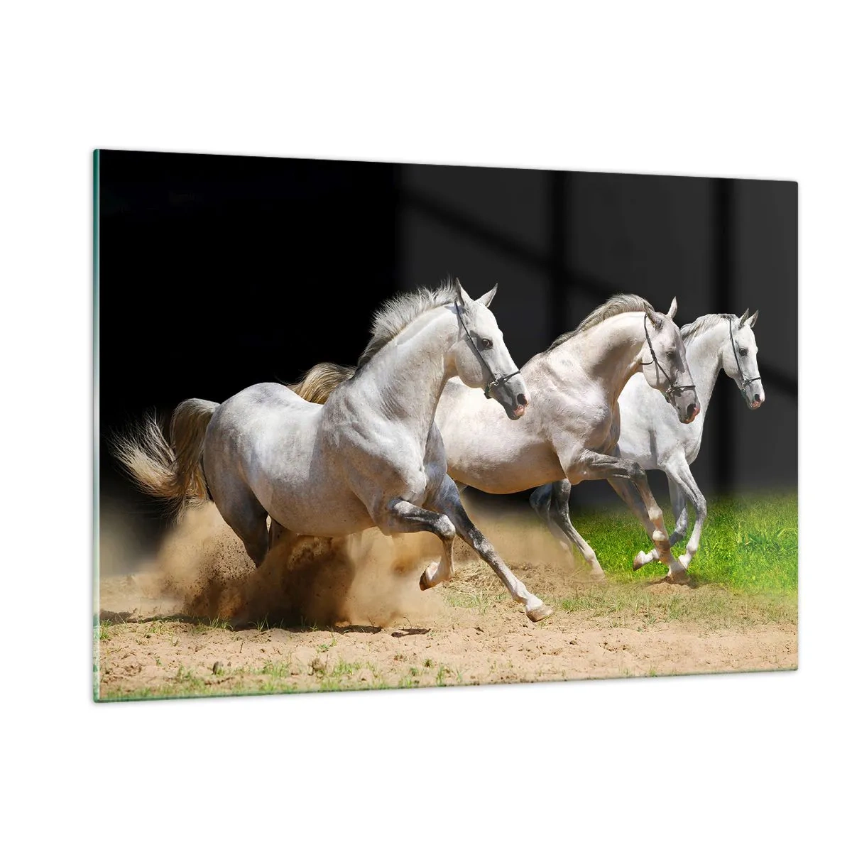 Cuadro sobre vidrio - Impresiones sobre Vidrio - Tres caballos blancos galopando por el suelo arenoso. - 120x80cm - Las tres Gracias - Decoración de pared moderna para salón y dormitorio ARTTOR