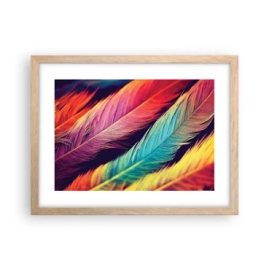 Póster en marco roble claro - Arco iris plumoso - 40x30 cm