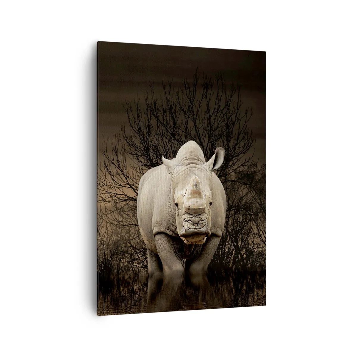 Cuadro sobre lienzo - Impresión de Imagen - Rinoceronte entre árboles al atardecer, naturaleza salvaje. - 70x100cm - El blanco contra la naturaleza - Decoración de pared moderna para salón y dormitorio ARTTOR