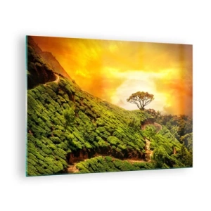 Cuadro sobre vidrio - Impresiones sobre Vidrio - Colinas verdes con un árbol solitario al atardecer - 70x50cm - Por un camino sinuoso, por una verde pendiente - Decoración de pared moderna para salón y dormitorio ARTTOR