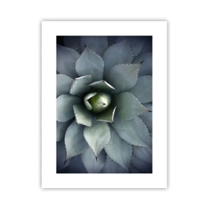 Póster - Perfección natural - 30x40 cm