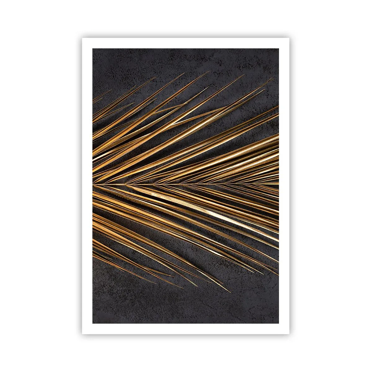Póster - El oro de los trópicos - 70x100 cm