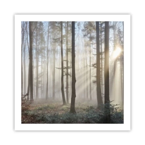 Póster - La niebla también está despierta - 60x60 cm
