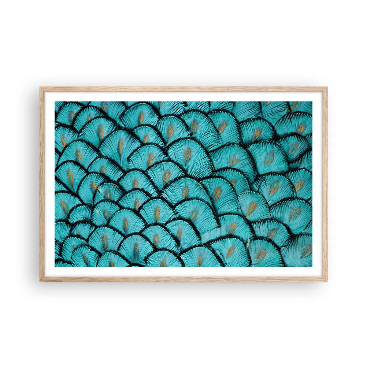 Póster en marco roble claro - La gran gala de las plumas - 91x61 cm