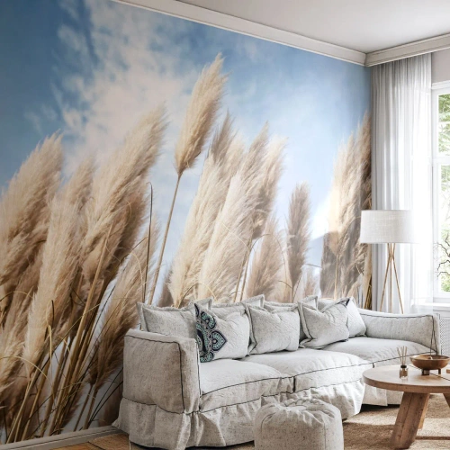 Fotomural Premium Canvas - Una caricia soleada y ventosa - Hierba de la pampa, Naturaleza, bohemia - 400x280 cm