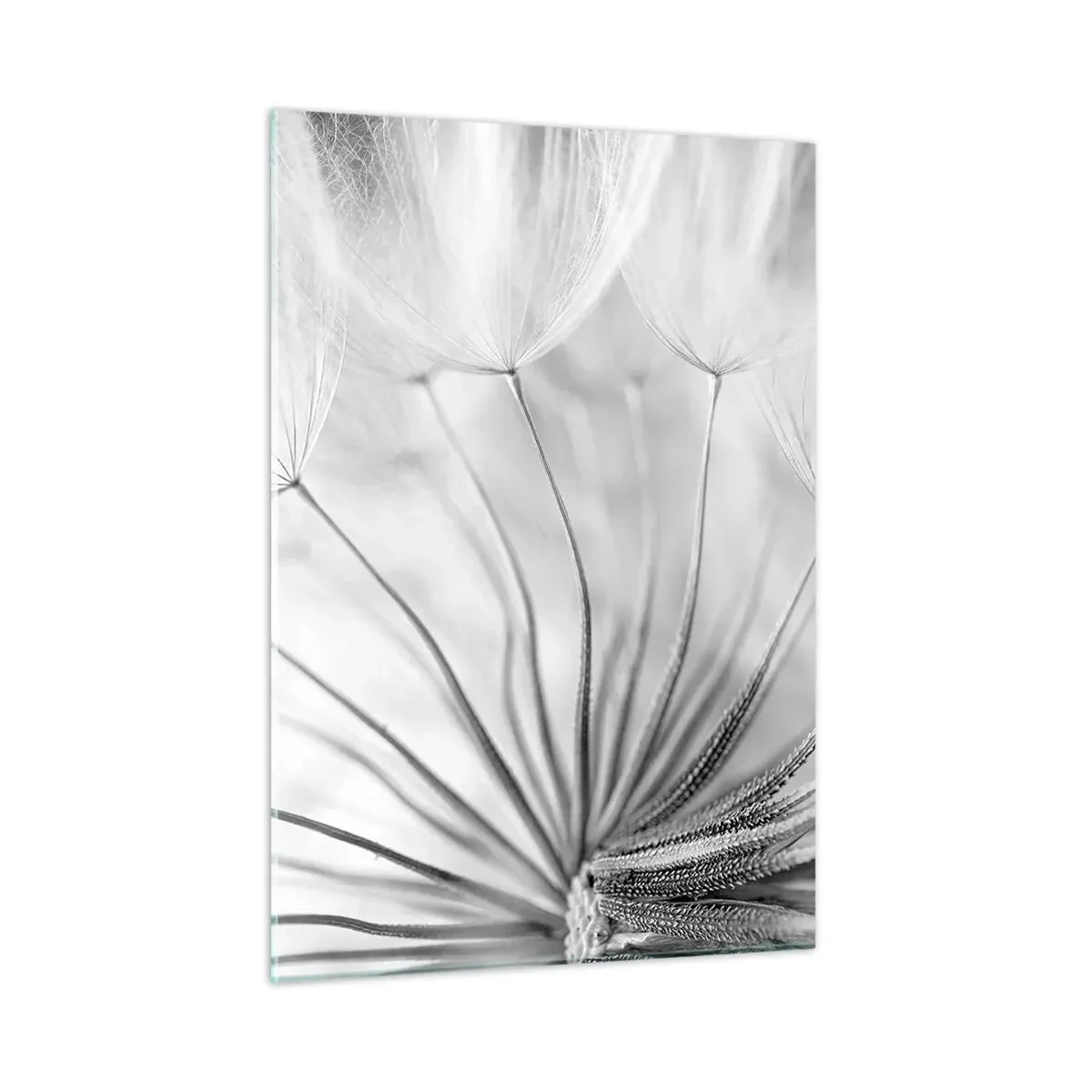 Cuadro sobre vidrio - Impresiones sobre Vidrio - Fotografía macro de un diente de león en tonos blanco y negro. - 50x70cm - Caricias del viento - Decoración de pared moderna para salón y dormitorio ARTTOR