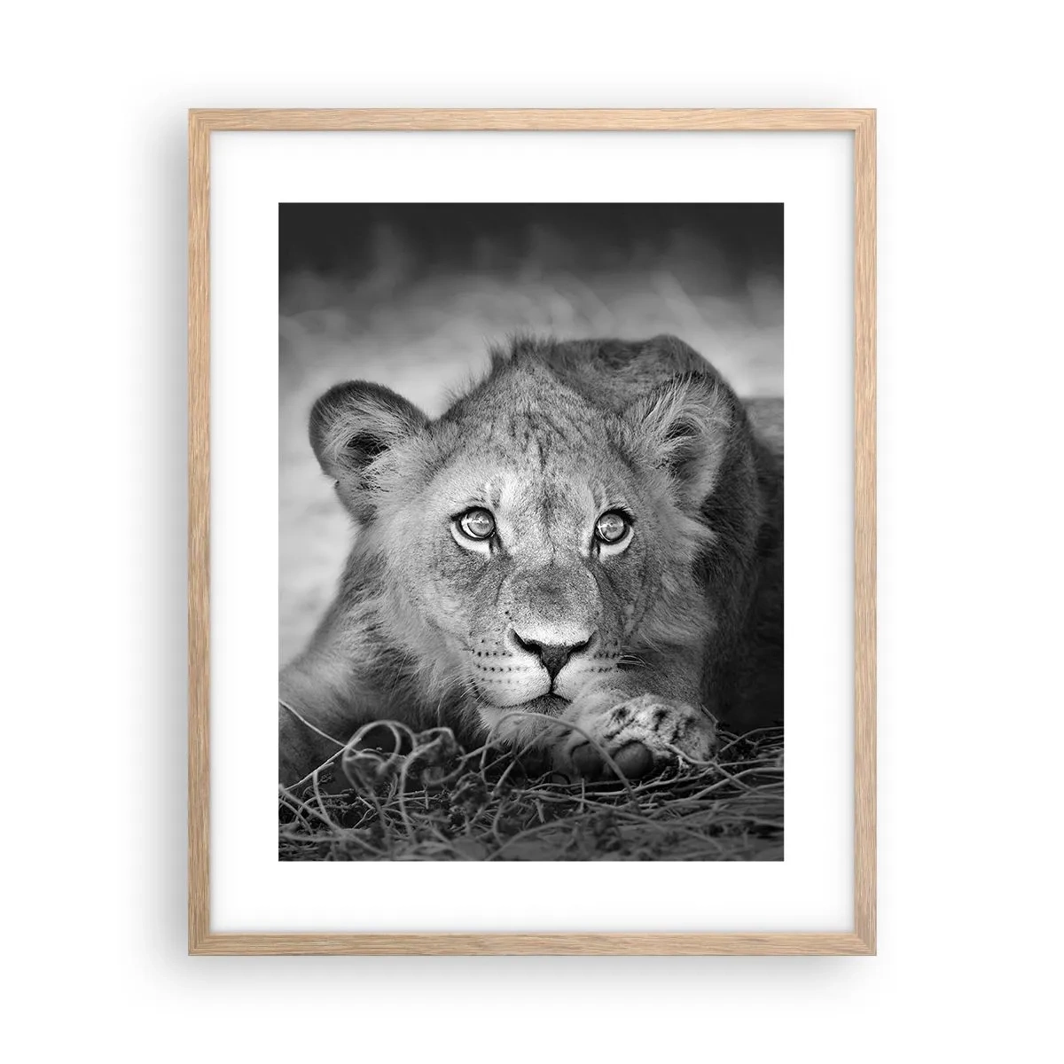 Póster en marco roble claro - Un cachorro real - 40x50 cm
