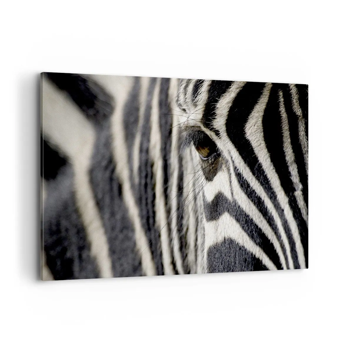 Cuadro sobre lienzo - Impresión de Imagen - Primer plano del ojo de una cebra con rayas blancas y negras - 120x80cm - Retrato a rayas - Decoración de pared moderna para salón y dormitorio ARTTOR