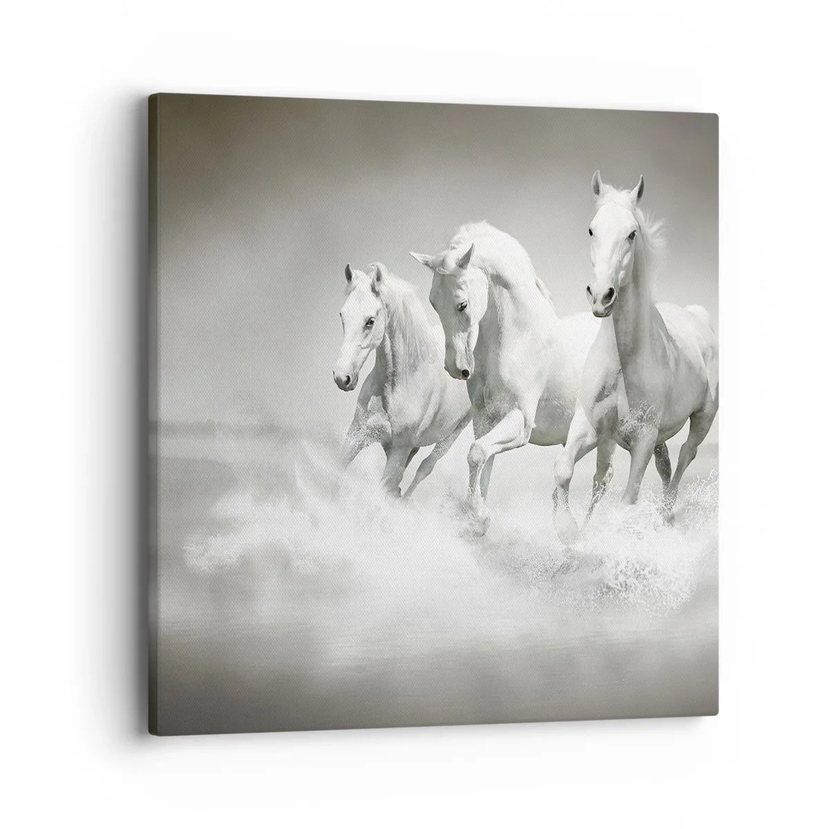 Cuadro sobre lienzo - Impresión de Imagen - Locura blanca - 40x40 cm