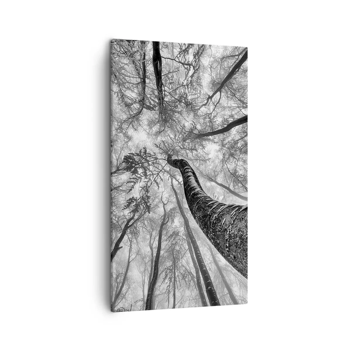 Cuadro sobre lienzo - Impresión de Imagen - Carrera hacia la luz - 45x80 cm