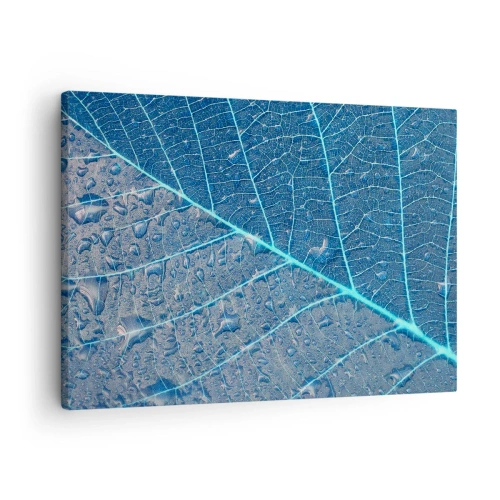 Cuadro sobre lienzo - Impresión de Imagen - Una hoja en tonos azules con gotas de agua. - 70x50cm - Vida en el azul - Decoración de pared moderna para salón y dormitorio ARTTOR