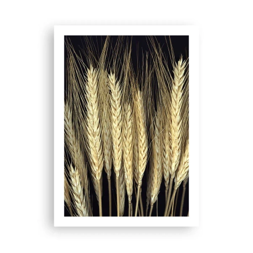 Póster - Primer plano de espigas de trigo sobre un fondo negro - 50x70cm - Magia rústica - Decoración de pared moderna para salón y dormitorio ARTTOR