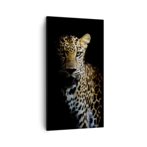 Cuadro sobre lienzo - Impresión de Imagen - Belleza oscura - 45x80 cm