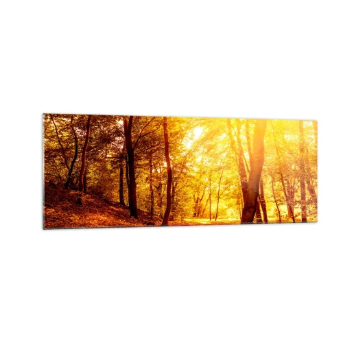 Cuadro sobre vidrio - Impresiones sobre Vidrio - Claro de otoño bajo la luz dorada del sol con un sendero forestal - 140x50cm - Hacia un claro de oro - Decoración de pared moderna para salón y dormitorio ARTTOR