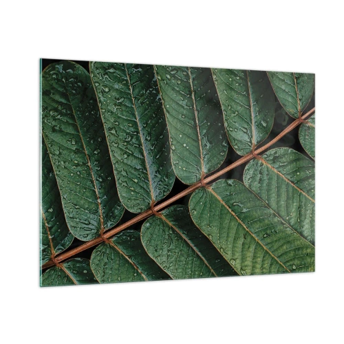 Cuadro sobre vidrio - Impresiones sobre Vidrio - Primer plano de hojas verdes con gotas de agua. - 100x70cm - En un ritmo verde - Decoración de pared moderna para salón y dormitorio ARTTOR