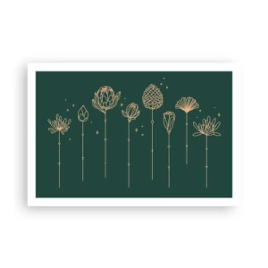 Póster - La familia vegetal - 91x61 cm