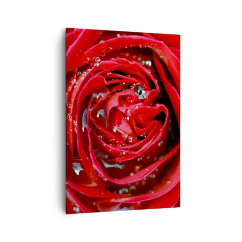 Cuadro sobre lienzo - Impresión de Imagen - Primer plano de una rosa roja con gotas de agua en los pétalos. - 70x100cm - En gotas de rocío - Decoración de pared moderna para salón y dormitorio ARTTOR