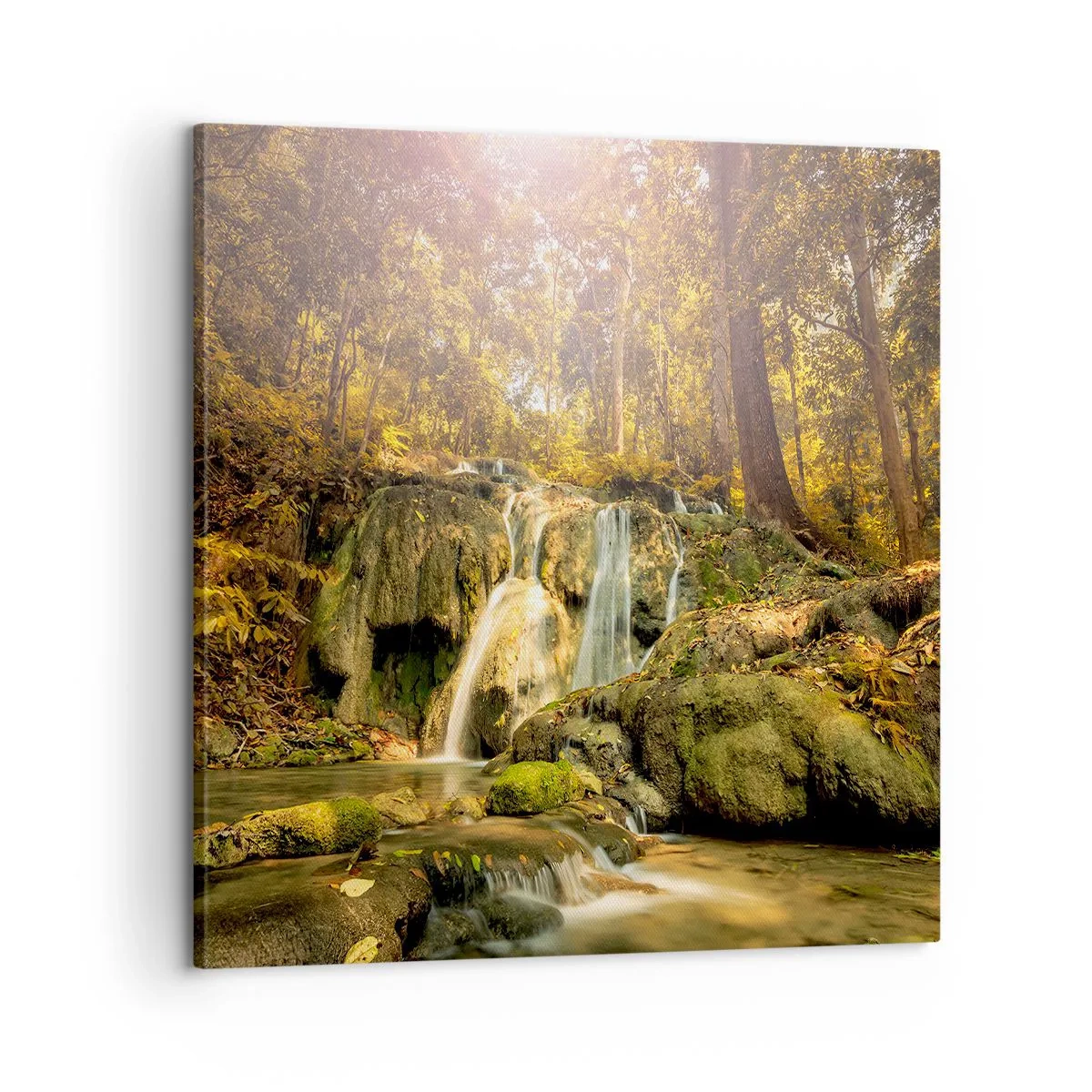Cuadro sobre lienzo - Impresión de Imagen - Cascada forestal en verde - 60x60 cm