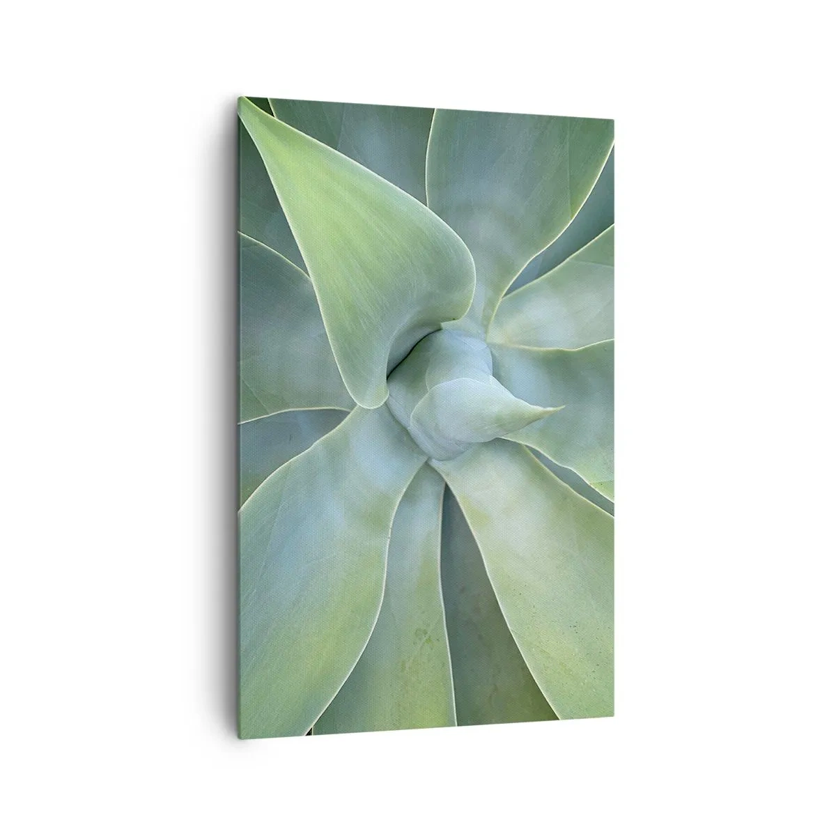Cuadro sobre lienzo - Impresión de Imagen - Hojas sutiles de agave en tonos verdes. - 80x120cm - El nacimiento del verde - Decoración de pared moderna para salón y dormitorio ARTTOR
