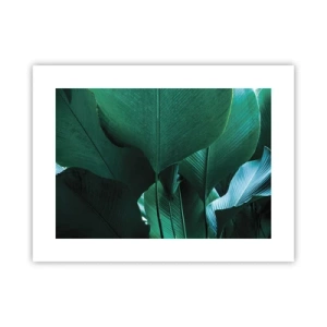 Póster - De cara a la luz - 40x30 cm