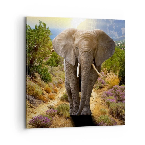 Cuadro sobre lienzo - Impresión de Imagen - Este es el aspecto del Edén - 60x60 cm