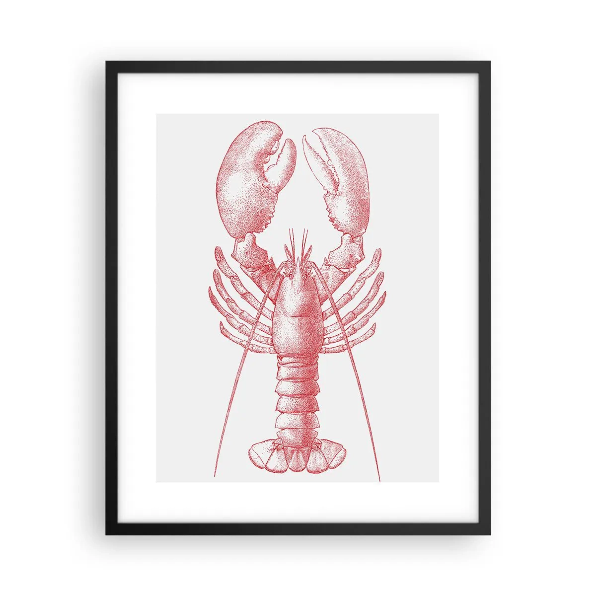 Póster en marco negro - La reina de los fondos rocosos - 40x50 cm