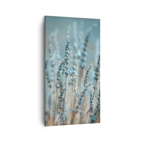 Cuadro sobre lienzo - Impresión de Imagen - Fragante pasto - 45x80 cm