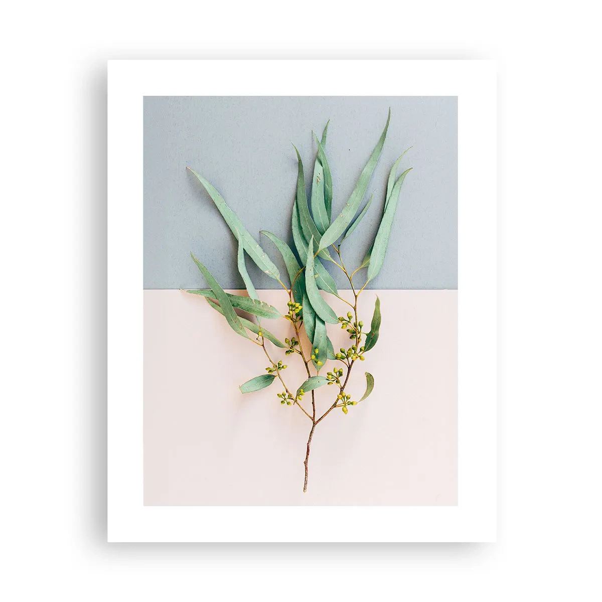 Póster - La sutileza del pastel - 40x50 cm