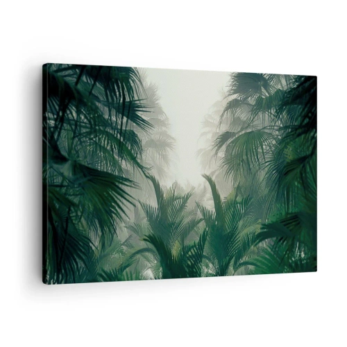 Cuadro sobre lienzo - Impresión de Imagen - Vegetación tropical en la densa niebla de la selva tropical - 70x50cm - Misterio tropical - Decoración de pared moderna para salón y dormitorio ARTTOR