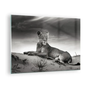 Cuadro sobre vidrio - Impresiones sobre Vidrio - Dejado tirado en el desierto en un marco en blanco y negro. - 70x50cm - Descanso de la reina del desierto - Decoración de pared moderna para salón y dormitorio ARTTOR