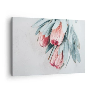 Cuadro sobre lienzo - Impresión de Imagen - Sutiles flores de protea rosa sobre un fondo claro. - 70x50cm - Avergonzada de su propia belleza - Decoración de pared moderna para salón y dormitorio ARTTOR