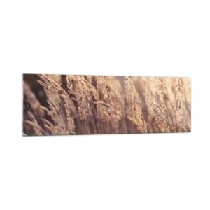 Cuadro sobre vidrio - Impresiones sobre Vidrio - Hierbas doradas con el sol poniente como telón de fondo - 160x50cm - Listos para dar la bienvenida al otoño - Decoración de pared moderna para salón y dormitorio ARTTOR