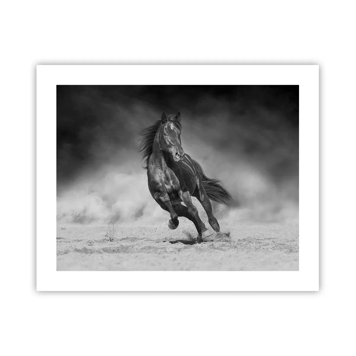 Póster - Digno del propio emir - 50x40 cm