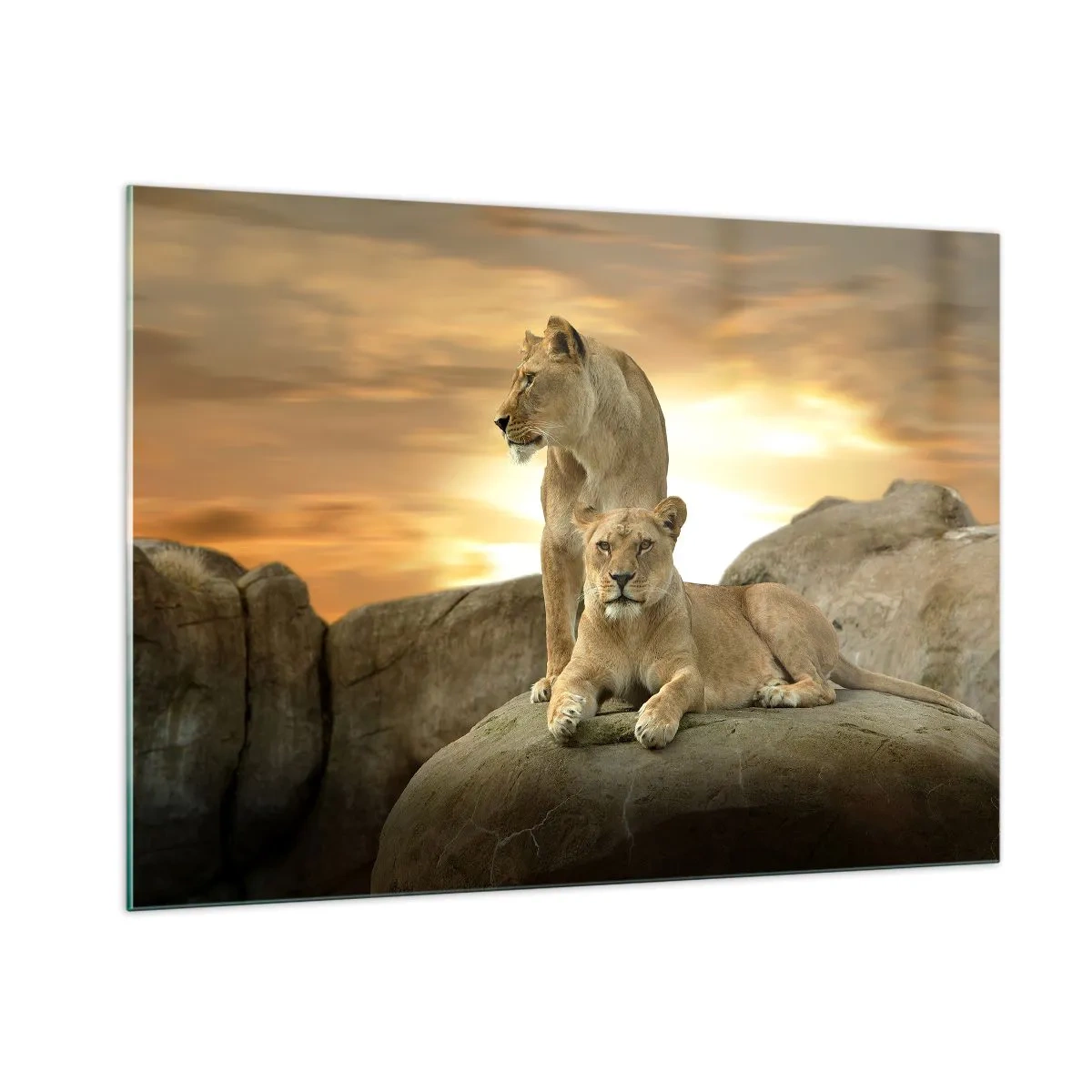 Cuadro sobre vidrio - Impresiones sobre Vidrio - Majestad Real - 100x70cm - Majestuosidad real - Decoración de pared moderna para salón y dormitorio ARTTOR