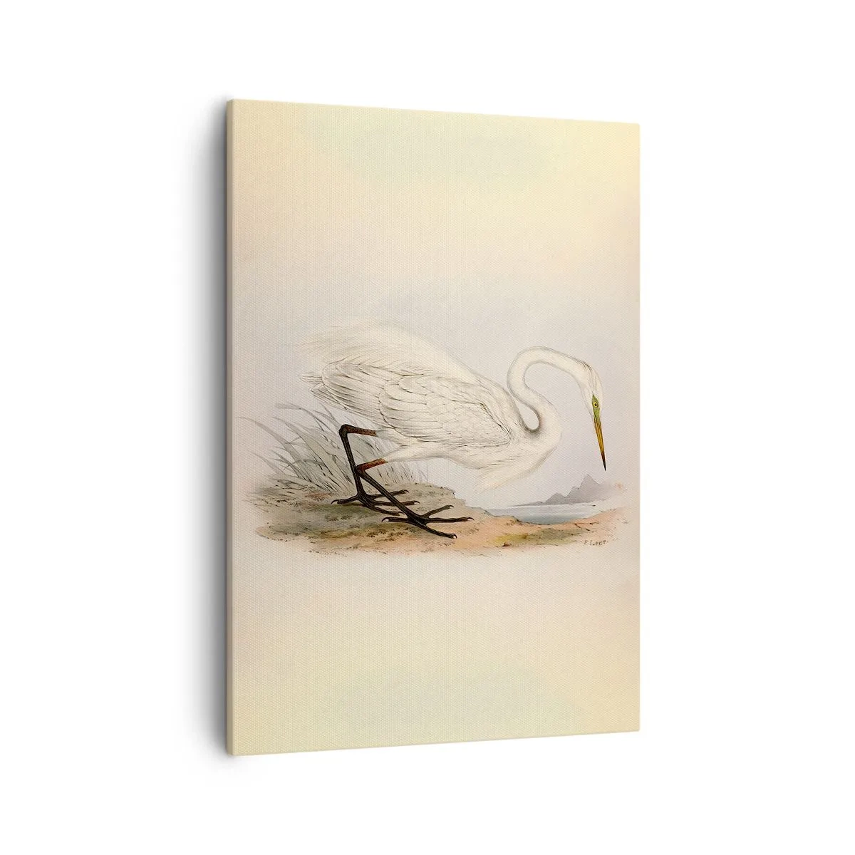 Cuadro sobre lienzo - Impresión de Imagen - Dibujo de una garza blanca sobre un fondo de paisaje natural. - 50x70cm - Dama de los juncos - Decoración de pared moderna para salón y dormitorio ARTTOR