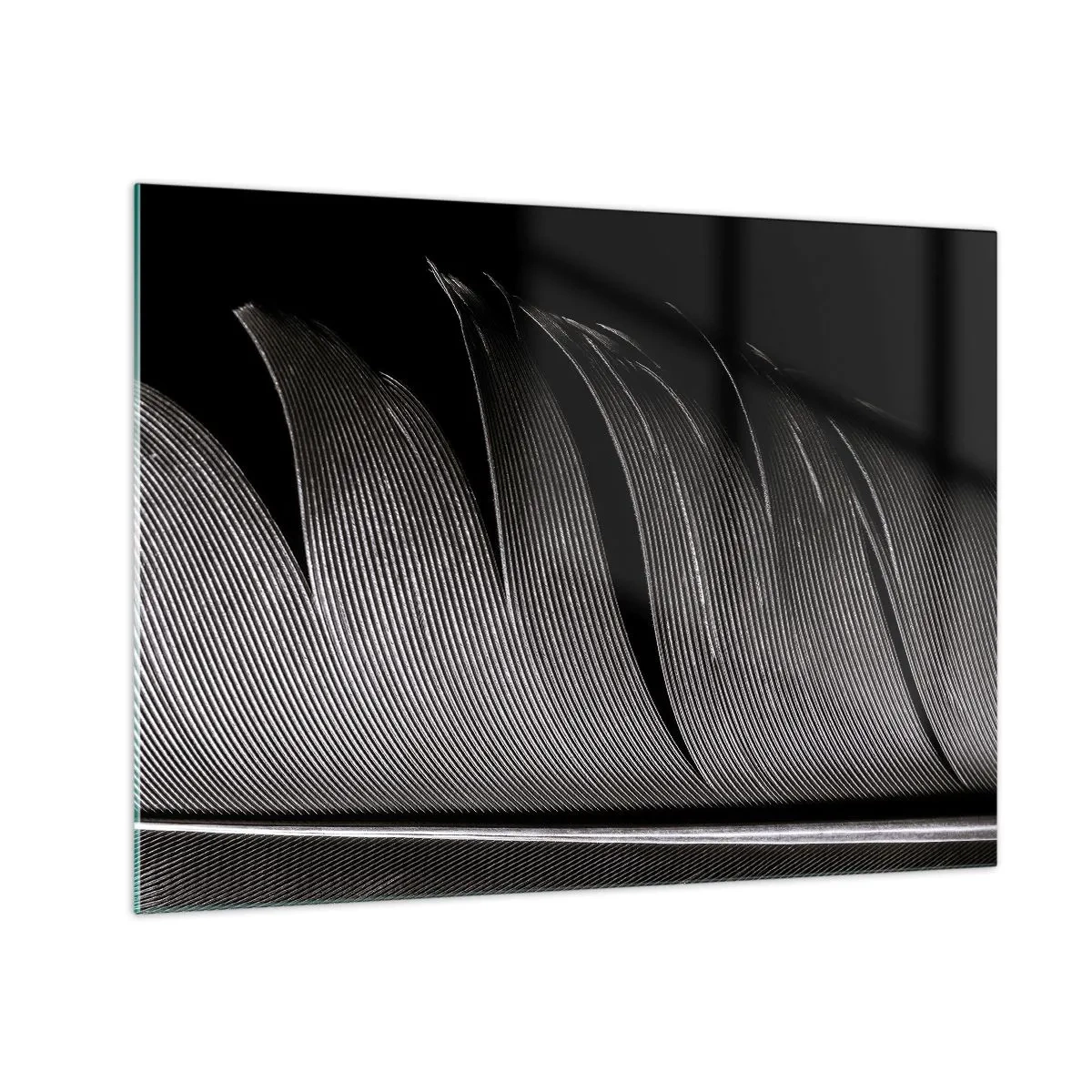 Cuadro sobre vidrio - Impresiones sobre Vidrio - Un primer plano en blanco y negro de una pluma contra una luz contrastante. - 70x50cm - Pluma - una construcción maravillosa - Decoración de pared moderna para salón y dormitorio ARTTOR