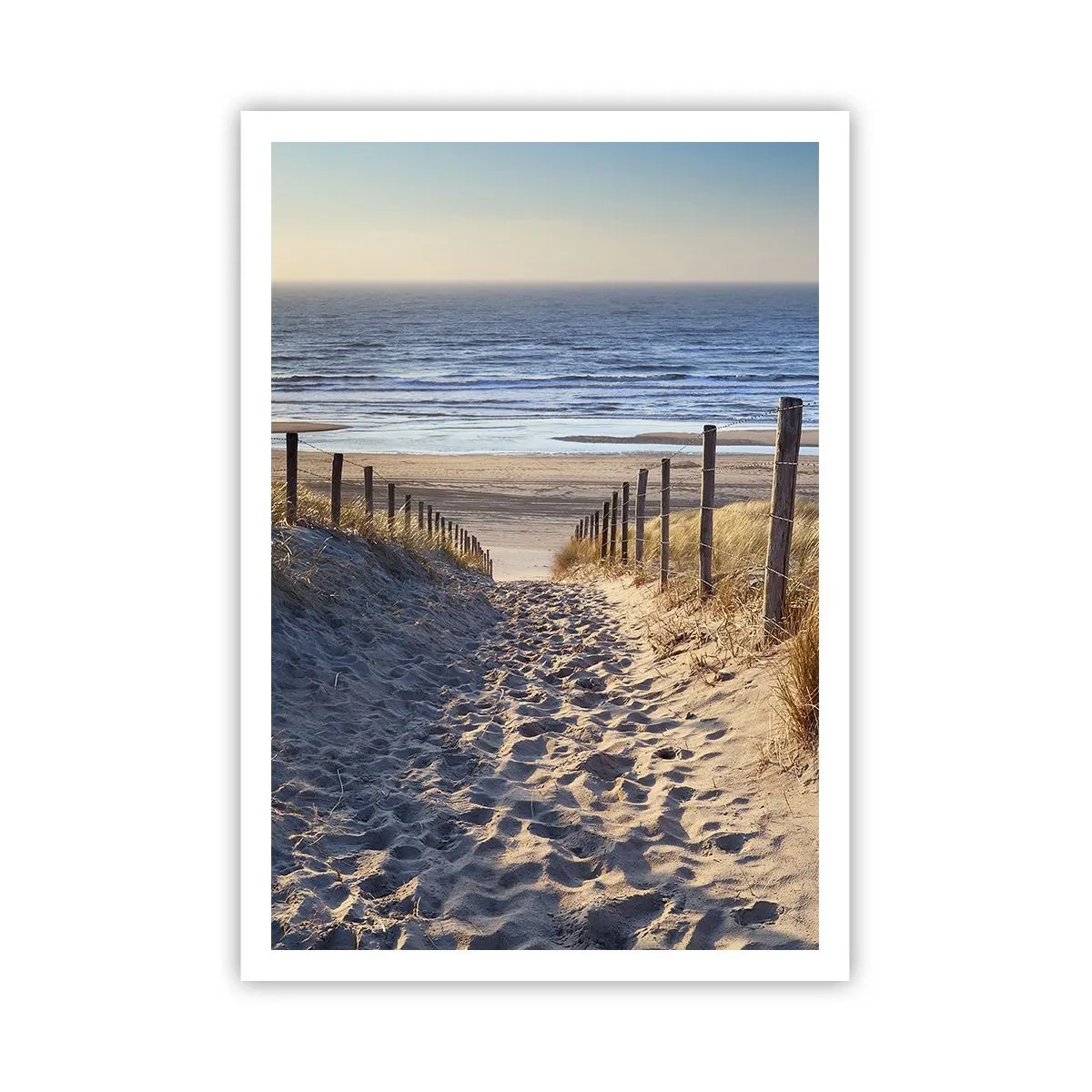 Póster - El sonido del mar, el canto de los pájaros, una playa virgen entre las dunas... - 70x100 cm