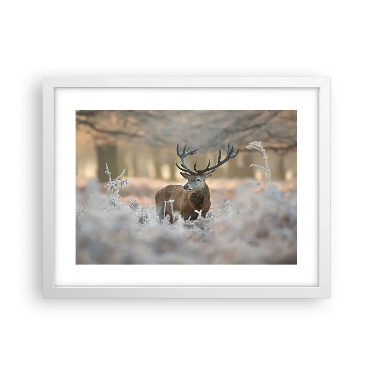 Póster en marco blanco - Una mañana fresca - 40x30 cm