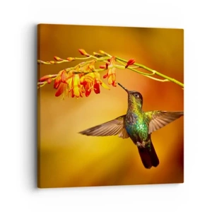 Cuadro sobre lienzo - Impresión de Imagen - Mensajero de la luz - 30x30 cm