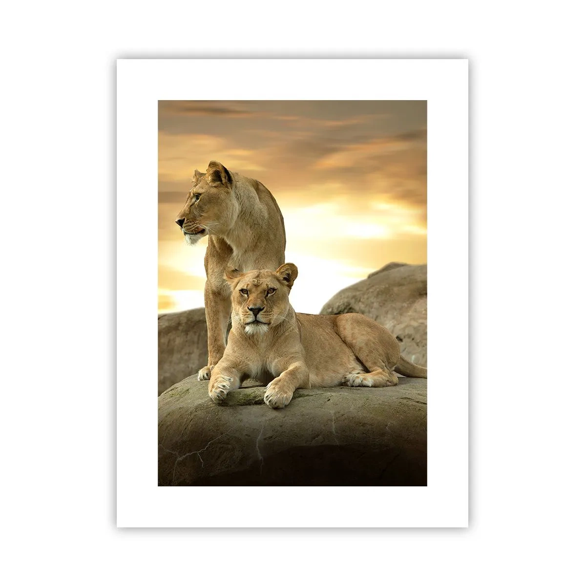 Póster - Majestuosidad real - 30x40 cm