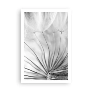 Póster - Caricias del viento - 61x91 cm