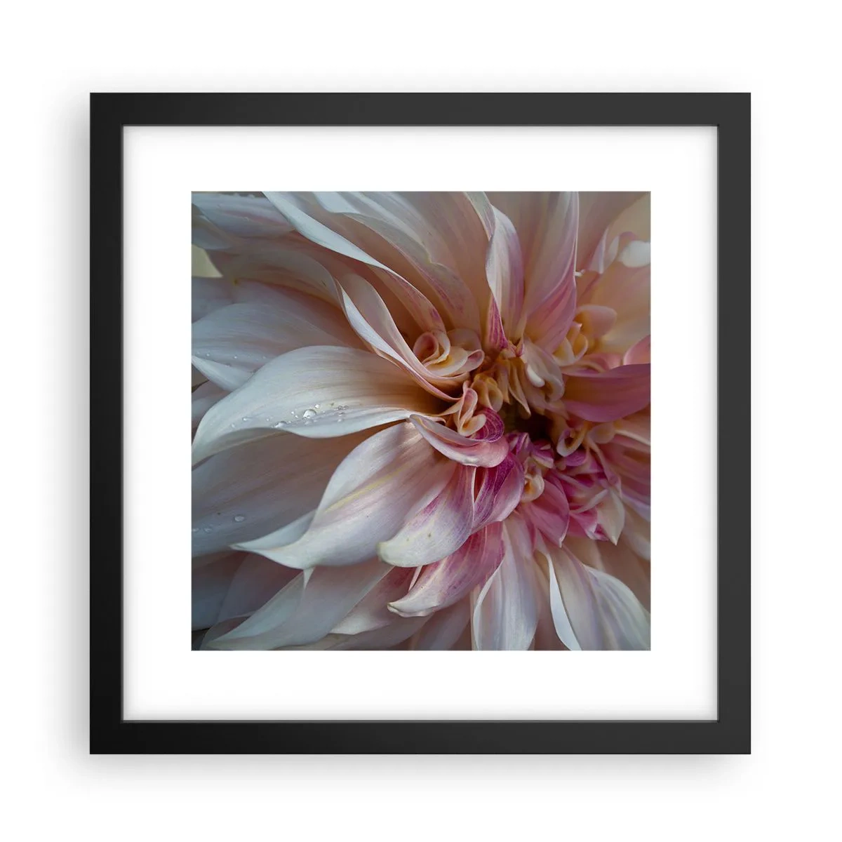 Póster en marco negro - Frescura floreciente - 30x30 cm