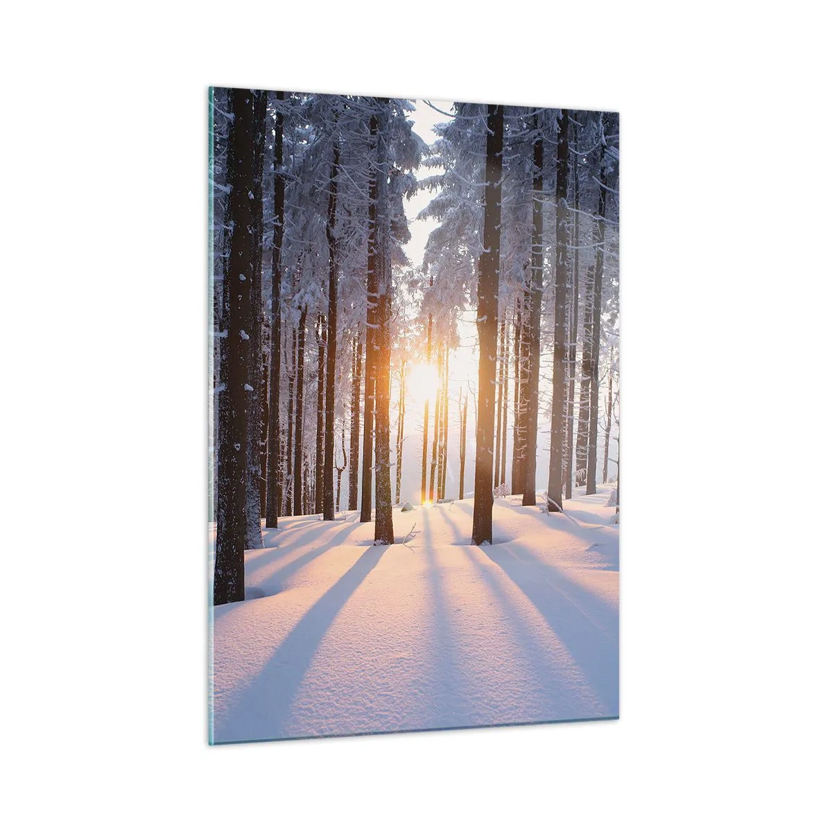 Cuadro sobre vidrio - Impresiones sobre Vidrio - Bosque invernal con rayos de sol brillando a través de los árboles. - 50x70cm - Claramente en blanco y negro - Decoración de pared moderna para salón y dormitorio ARTTOR