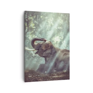 Cuadro sobre lienzo - Impresión de Imagen - Un niño y un elefante en un entorno forestal iluminado por la luz del sol. - 50x70cm - Y escucha esto... - Decoración de pared moderna para salón y dormitorio ARTTOR