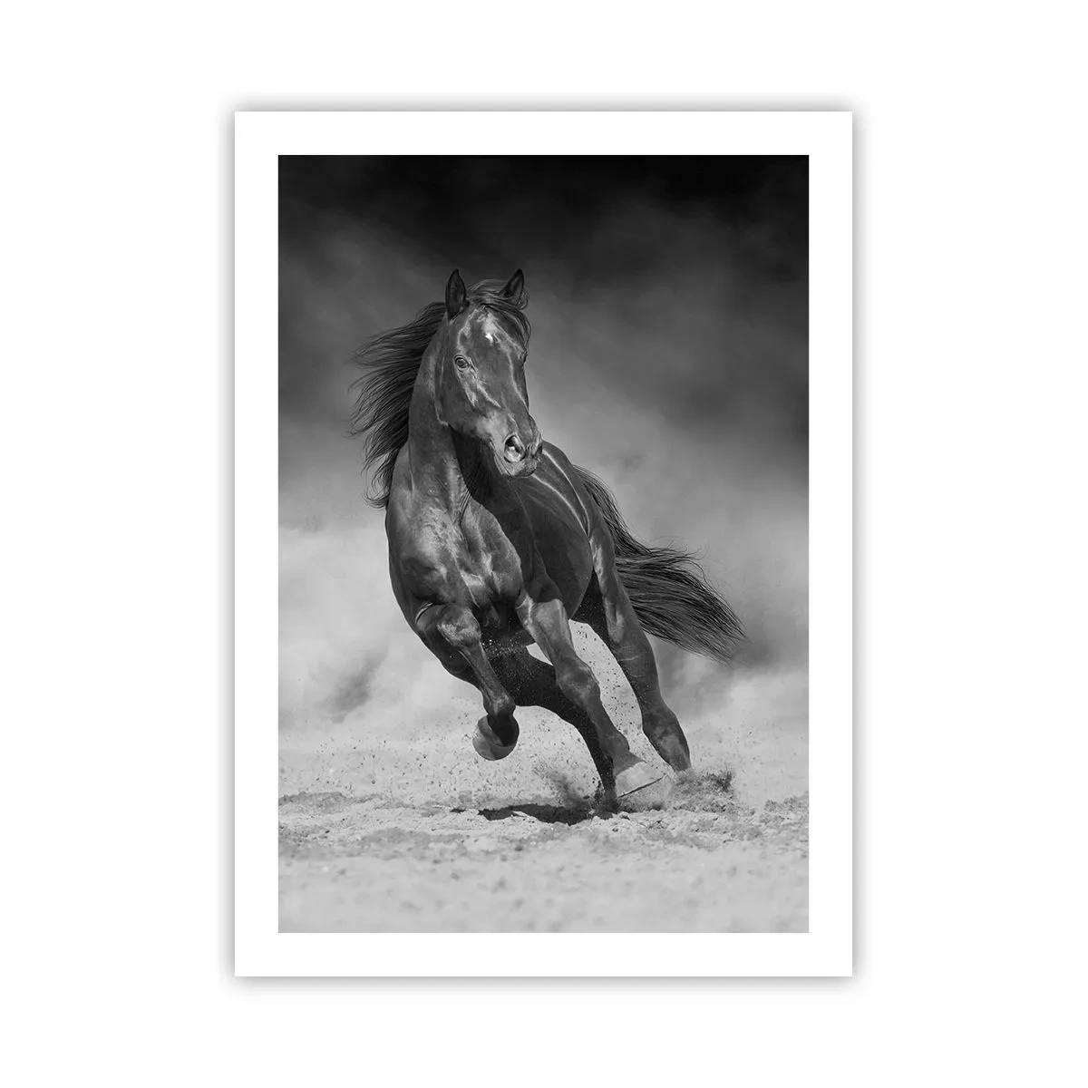 Póster - Un caballo oscuro en una carrera dinámica - 50x70cm - Digno del propio emir - Decoración de pared moderna para salón y dormitorio ARTTOR