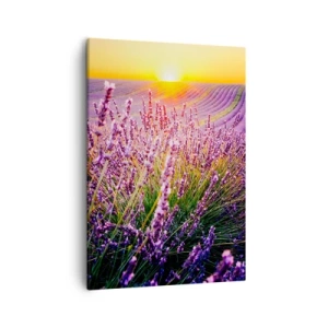 Cuadro sobre lienzo - Impresión de Imagen - Campo de lavanda al atardecer - 50x70cm - Pradera fragante - Decoración de pared moderna para salón y dormitorio ARTTOR