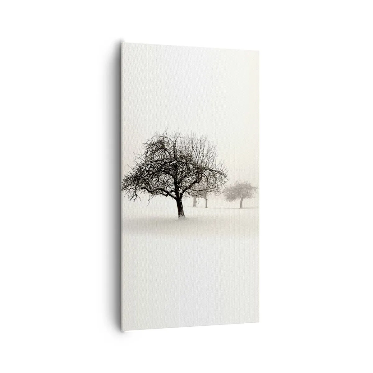 Cuadro sobre lienzo - Impresión de Imagen - Sueño de invierno - 65x120 cm