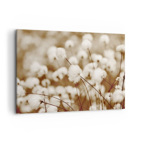 Cuadro sobre lienzo - Impresión de Imagen - Un campo de delicadas plantas en tonos sepia. - 100x70cm - Un mullido colchón - Decoración de pared moderna para salón y dormitorio ARTTOR