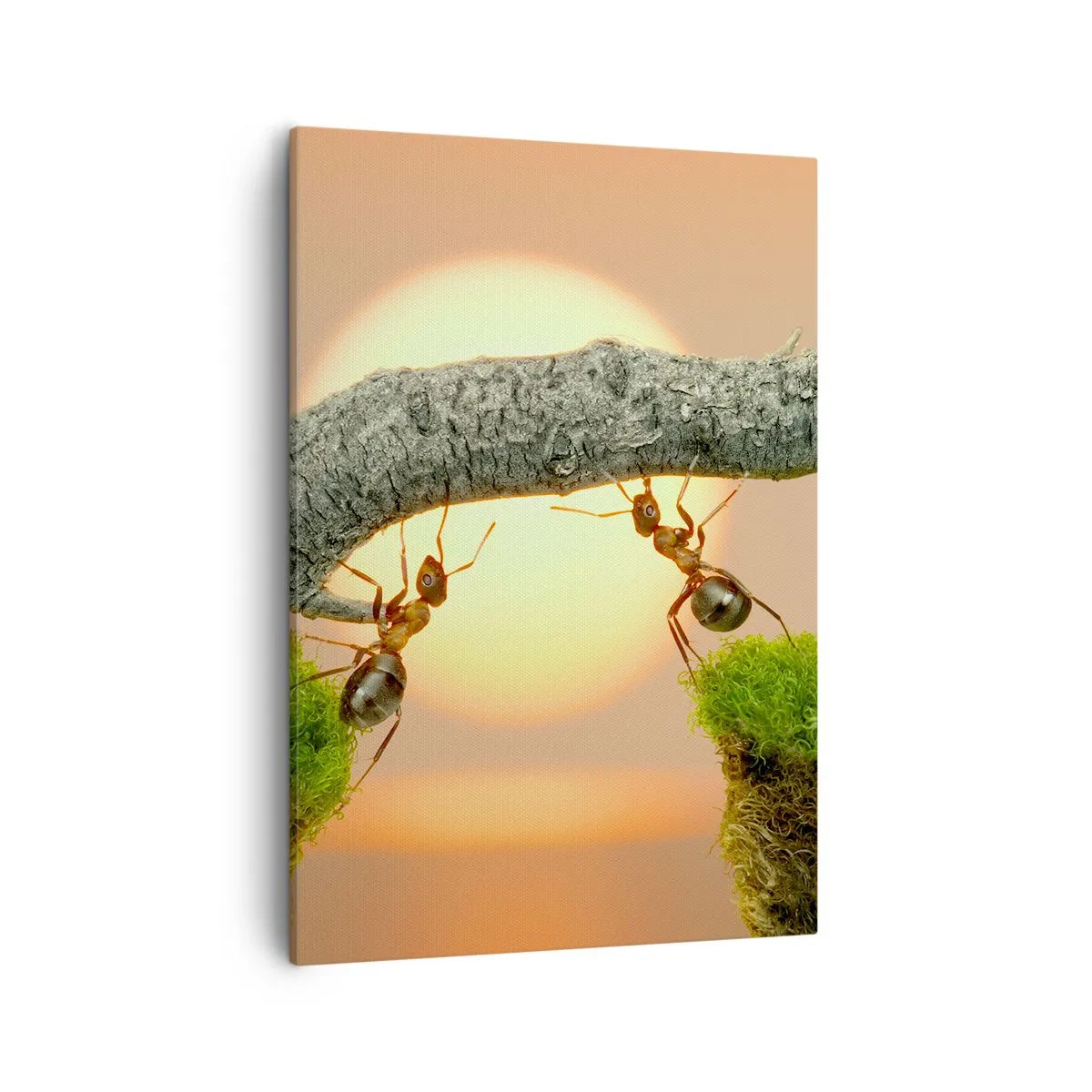 Cuadro sobre lienzo - Impresión de Imagen - Hormigas construyendo un puente de ramas con el sol poniente como telón de fondo. - 50x70cm - Trabajar juntos con alegría - Decoración de pared moderna para salón y dormitorio ARTTOR