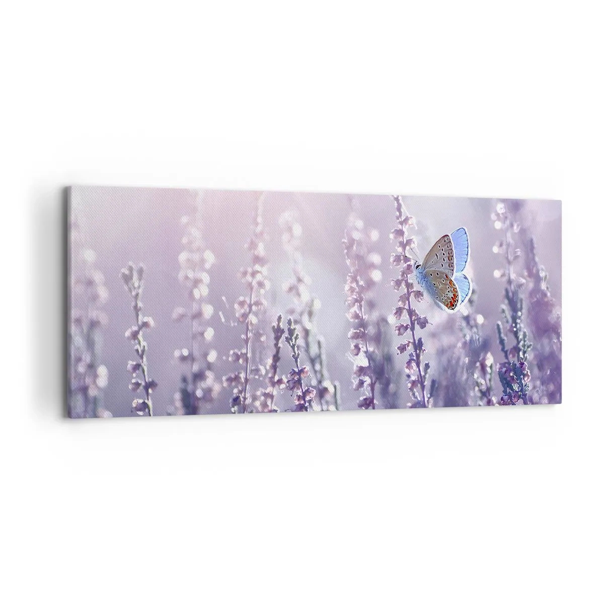 Cuadro sobre lienzo - Impresión de Imagen - Una mariposa sobre lavanda en flor a la luz de la mañana. - 120x50cm - El beso de una mariposa - Decoración de pared moderna para salón y dormitorio ARTTOR